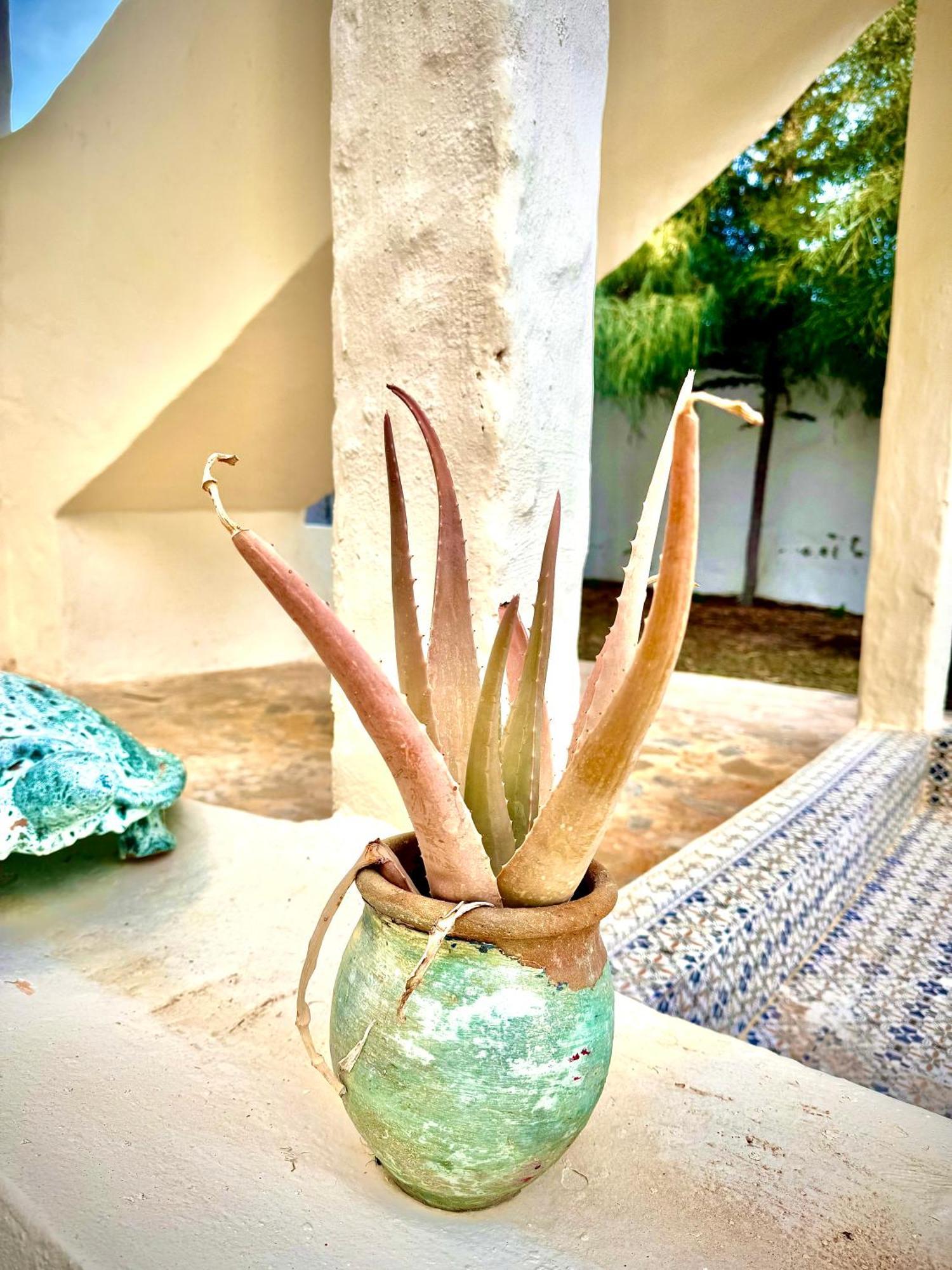 Dar Oueghlani - Maison D'Hotes El May Экстерьер фото